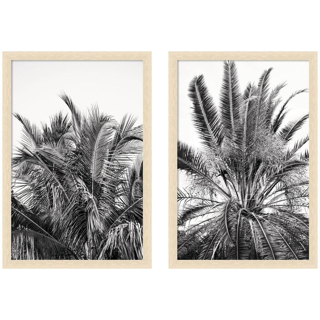 Palm No. 13 & 15 2 Piece Framed Wall Art Print Set by Alicia Bock