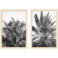 Palm No. 13 & 15 2 Piece Framed Wall Art Print Set by Alicia Bock