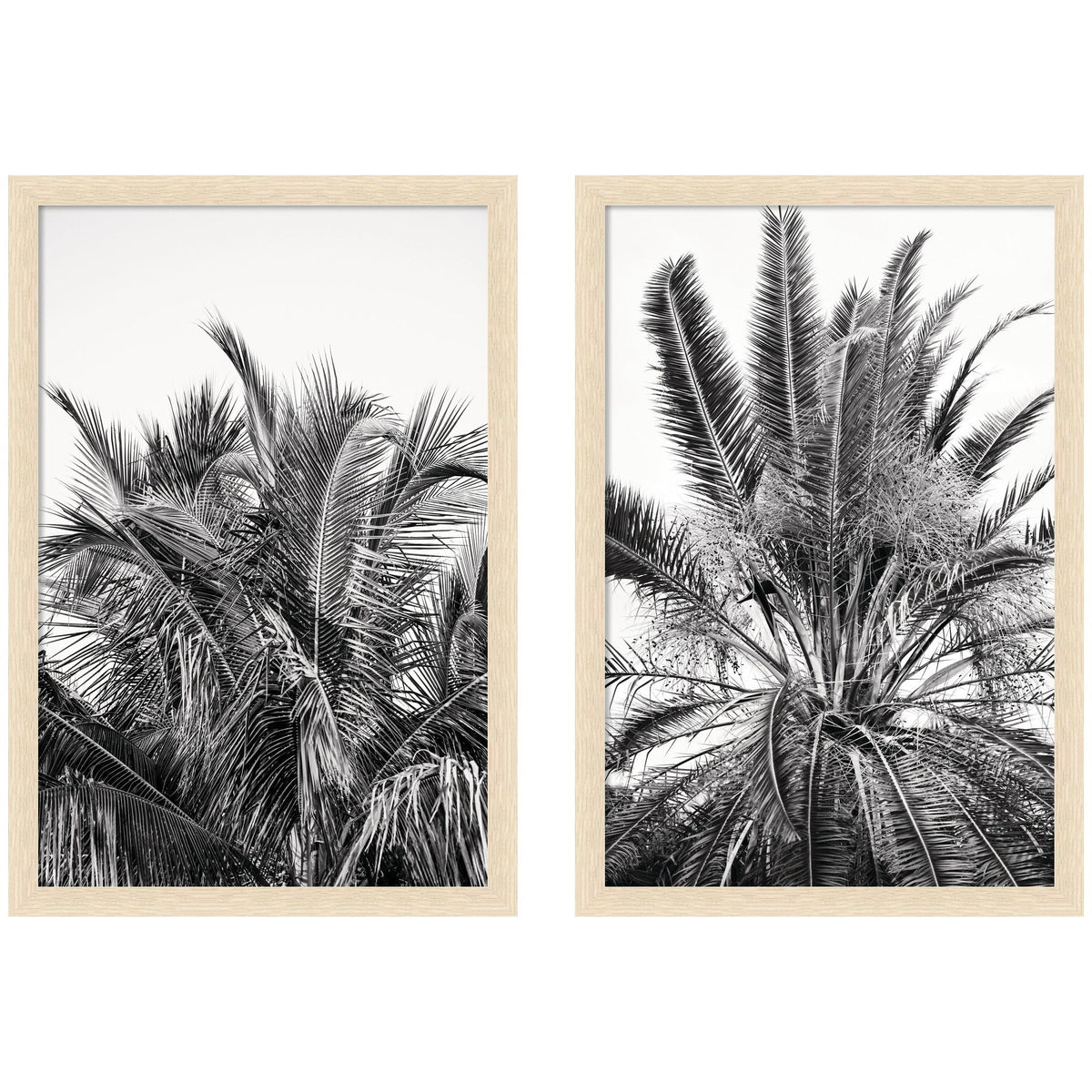 Palm No. 13 & 15 2 Piece Framed Wall Art Print Set by Alicia Bock