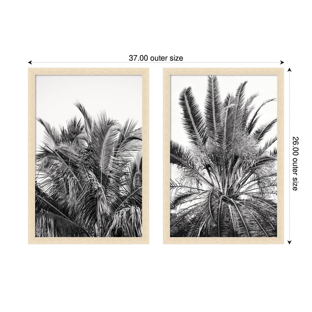 Palm No. 13 & 15 2 Piece Framed Wall Art Print Set by Alicia Bock