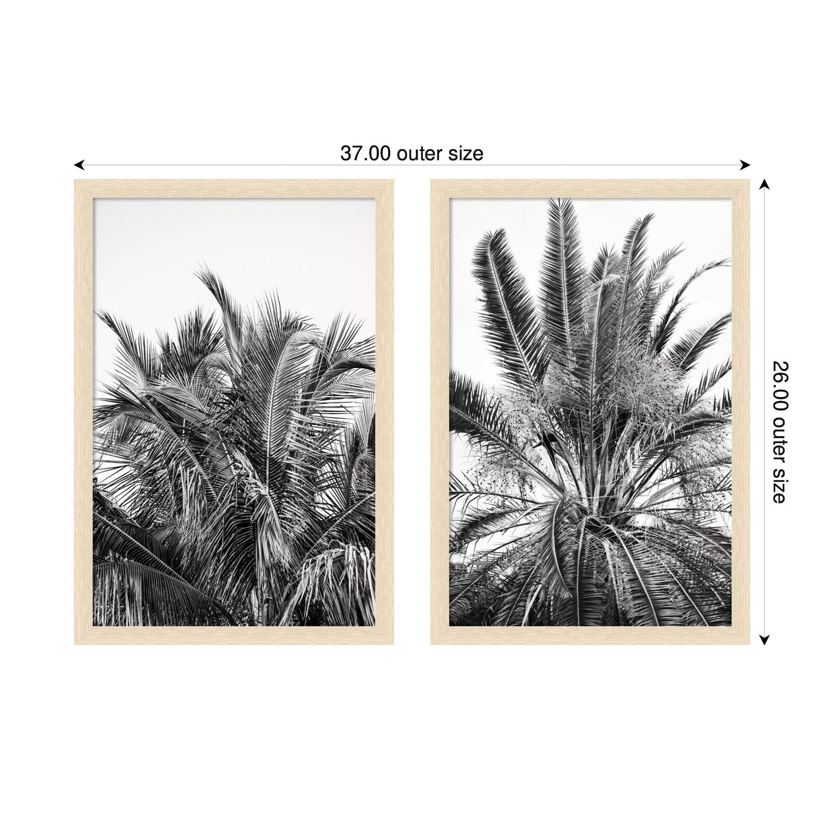 Palm No. 13 & 15 2 Piece Framed Wall Art Print Set by Alicia Bock