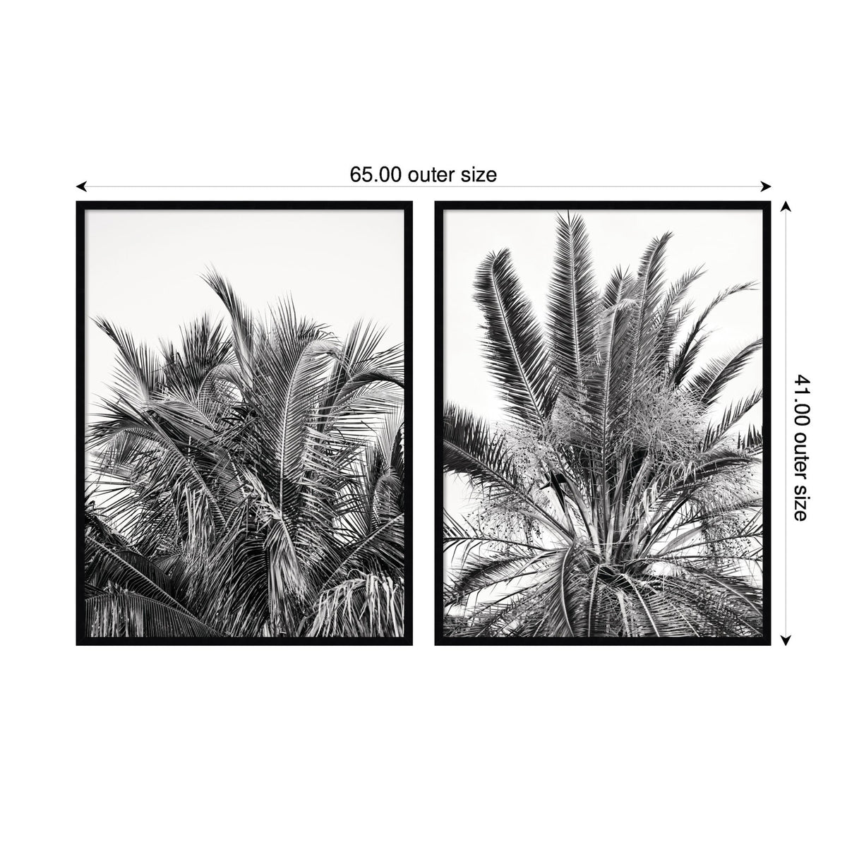 Palm No. 13 & 15 2 Piece Framed Wall Art Print Set by Alicia Bock