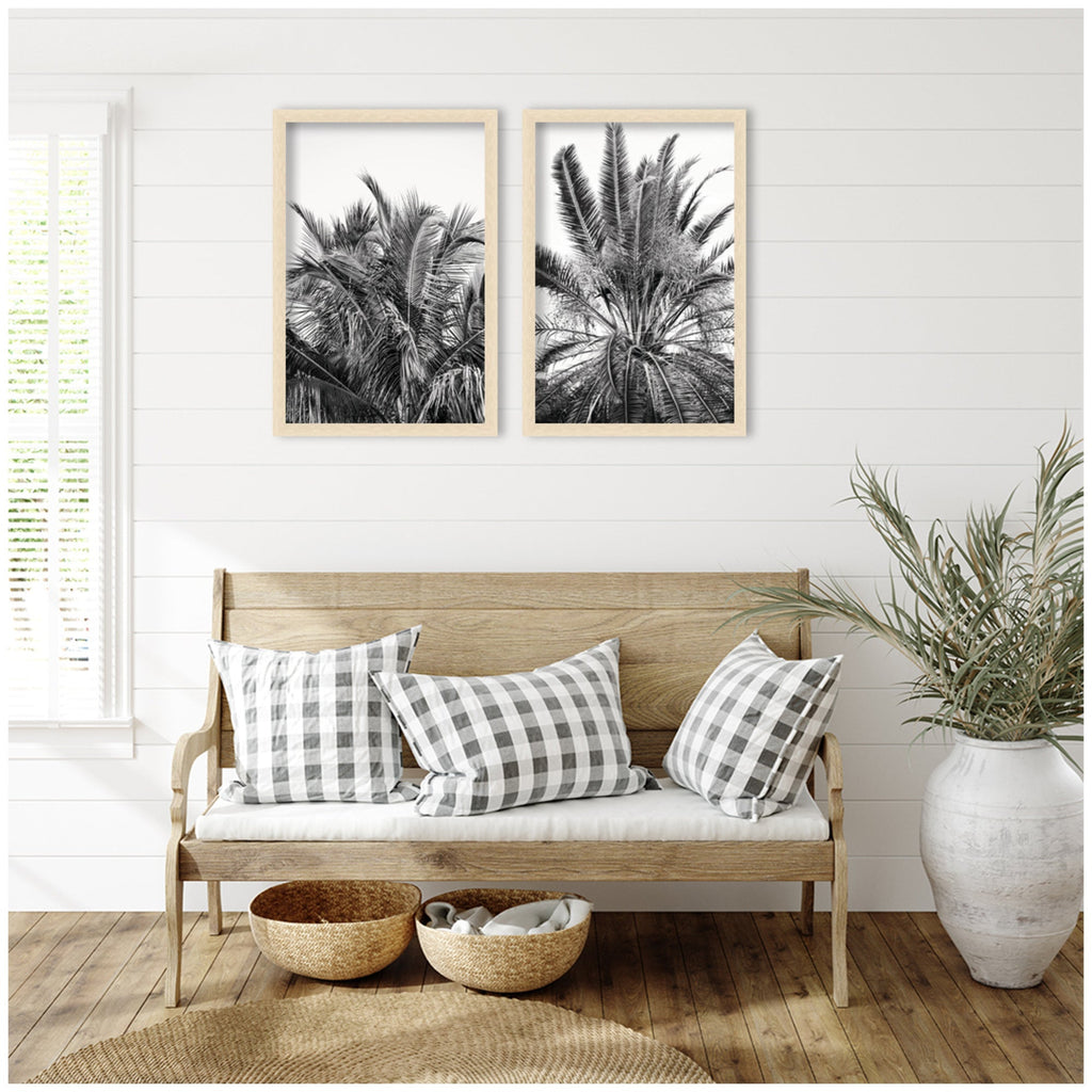 Palm No. 13 & 15 2 Piece Framed Wall Art Print Set by Alicia Bock