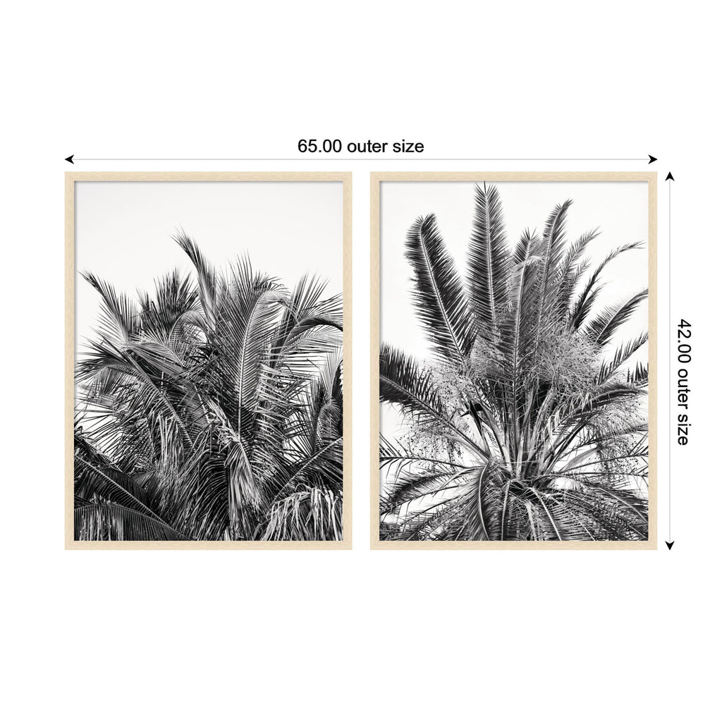 Palm No. 13 & 15 2 Piece Framed Wall Art Print Set by Alicia Bock