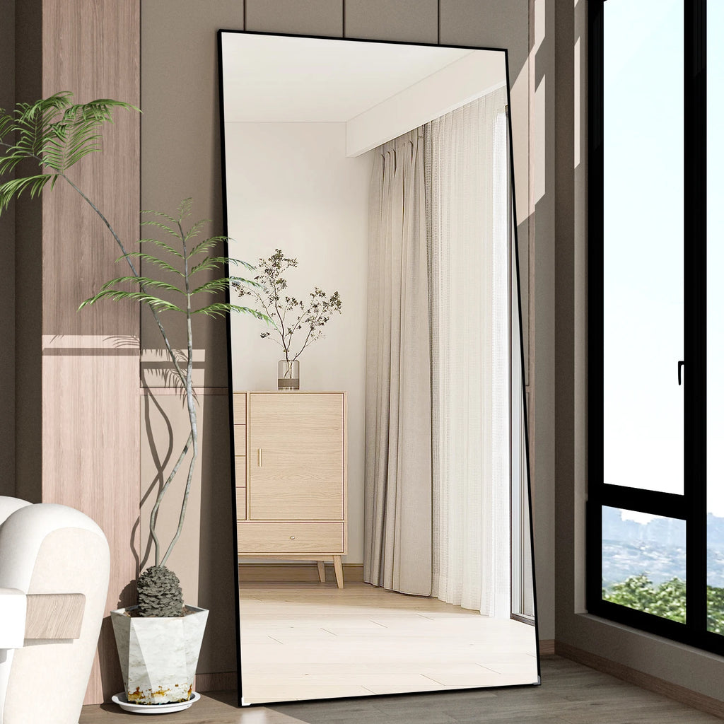 CASSILANDO Full Length Mirror 65" * 24 ",