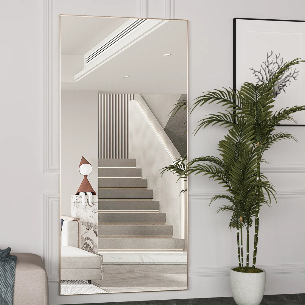 CASSILANDO Full Length Mirror 65" * 24 ",